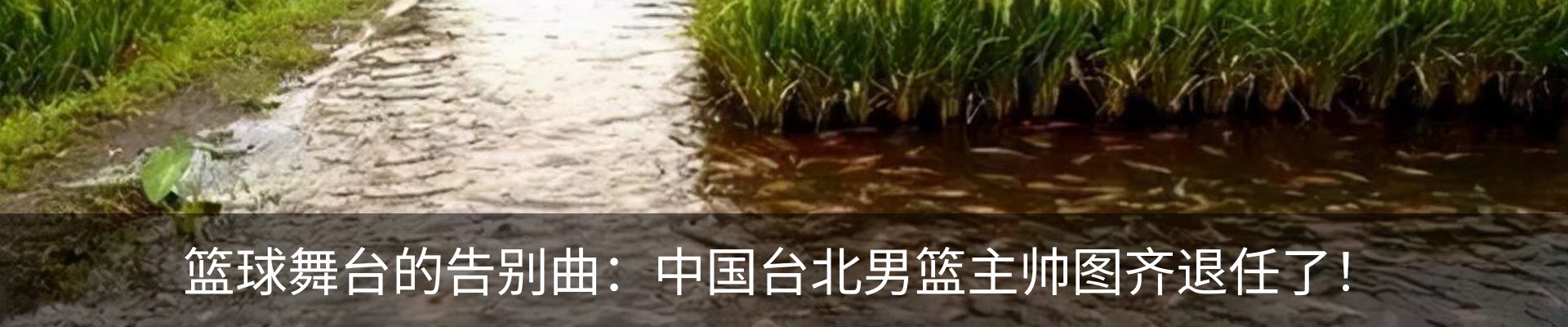 内页banner